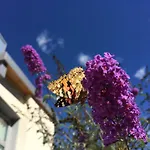 Mastervillage
